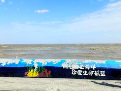 -南汇嘴观海公园