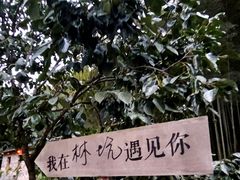 -林坑古村落