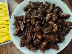 -鸽子窝(青塔店)