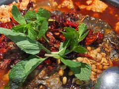 -探鱼·鲜青椒爽麻烤鱼(苏宁广场店)