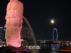 -新加坡摩天观景轮