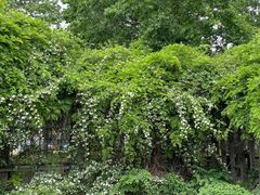 -国家植物园南园