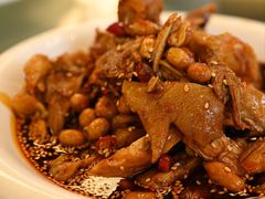 -龙翔山庄雷鸡肉(青城后山泰安古镇店)