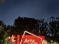 -新江湾城公园