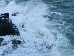 -海云台海滩
