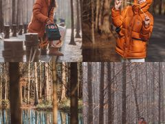 -桤木河湿地公园