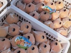 -新发地高碑店农副产品物流园