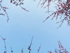 -白塘生态植物园