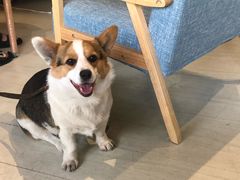 -艾蜜西餐厅(梅园店)