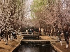 -三里河公园