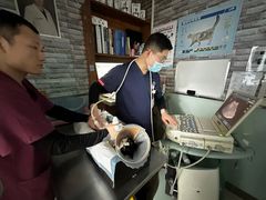 -纳吉亚猫专科动物医院博雅分院