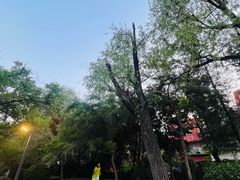 -双榆树公园