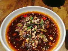 凉拌鸡-铁公鸡·四川料理(天环广场店)