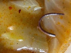 -邢老三肉丸糊辣汤(西安总店)