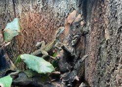 -酷嗒动物文化乐园(cutezoo西溪乐天城店)