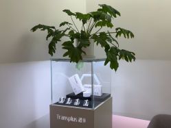 -Dr.U博士医疗美容医院