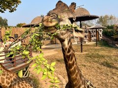 -济南野生动物世界