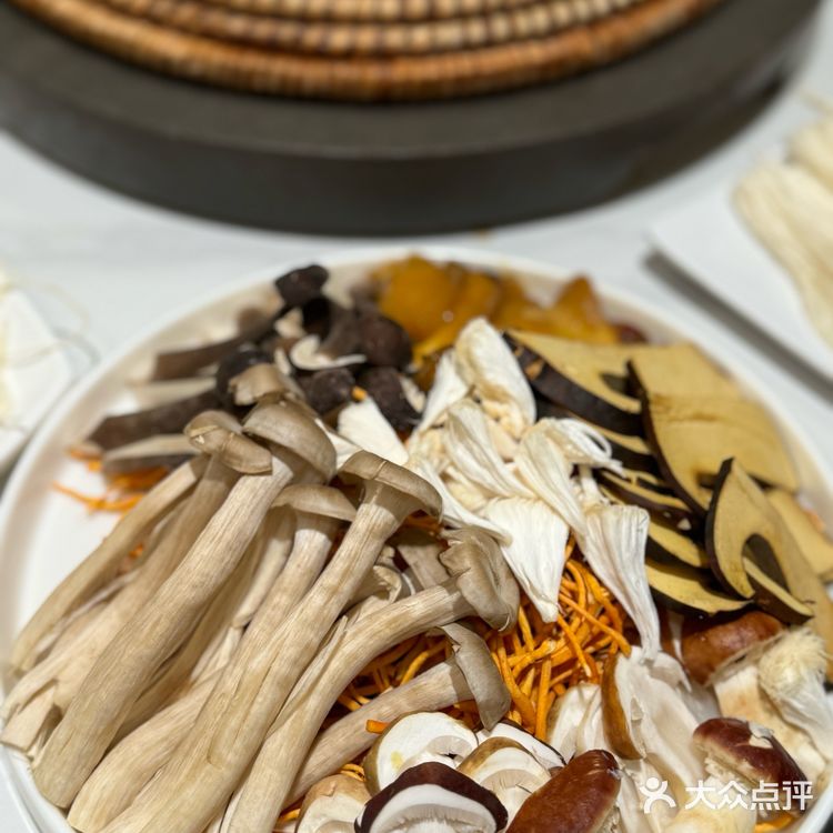 菌森林 | 一场穿越东南亚的味觉盛宴