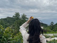 -桃源山庄·水蜜桃采摘·柴火鸡·烧烤团建(龙泉山店)