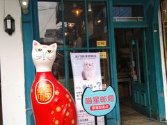 -猫咪博物馆(顶澳仔猫街店)