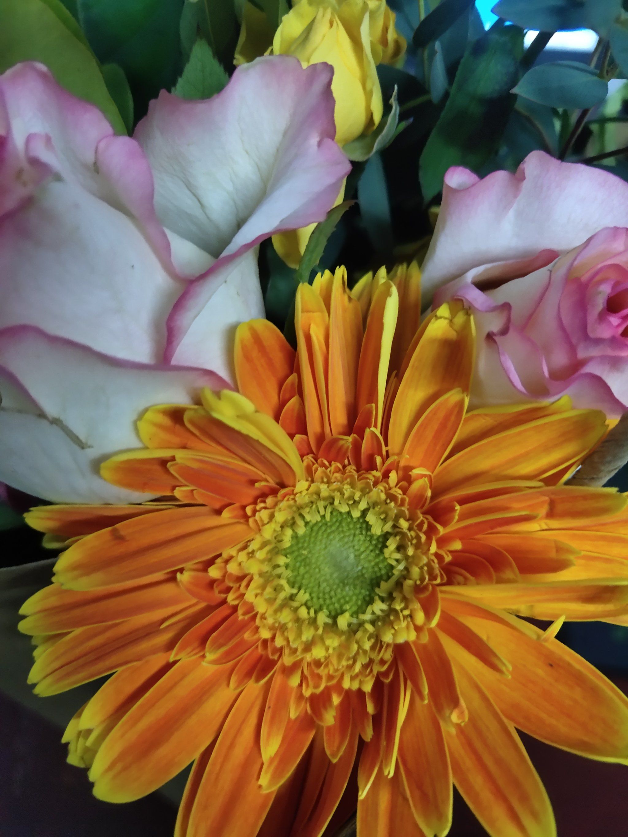 花花的世界花花开!