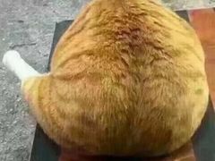 -北京汉斯特自助烤肉(临朐店)