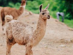 -杭州野生动物世界