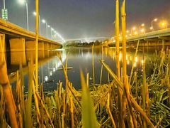 -绿堤公园