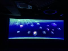 -海合安武汉极地海洋公园