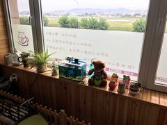 -猫的茶·猫咖