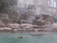 -苏州湾王焰温泉度假酒店