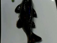 android_upload_pic-清水蘭軒