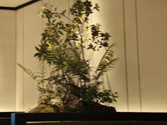 -炉鱼(萧山万象汇店)