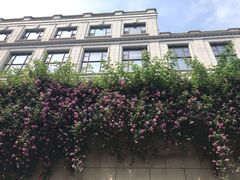 -南京东郊国宾馆