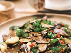 无毒见手青-鲜菌江湖正宗野生菌火锅
