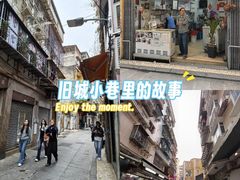 -洪馨椰子