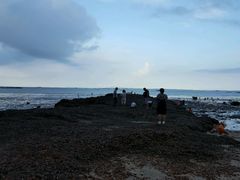 -巨鹏飞梦幻海岸