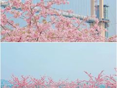 -白沙门生态公园