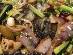 -万州烤鱼·干锅(九茹村店)