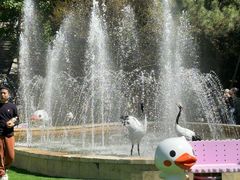 -燕塞湖鸟语林景区