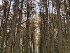 -同里国家湿地公园