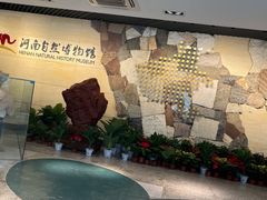 -河南自然博物馆