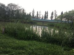 -白鹭湾湿地公园