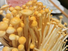 -海底捞火锅(万达广场店)
