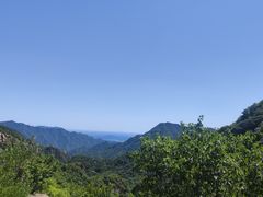 -大岭沟猕猴桃谷风景区