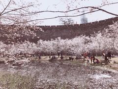 -Beans Solo豆号咖啡(百家湖花园店)
