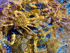 -驻海渔市(置信店)