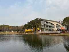 -新江湾城公园