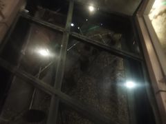 -元代水闸遗址博物馆