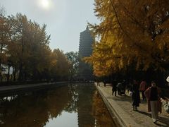 -玲珑塔公园